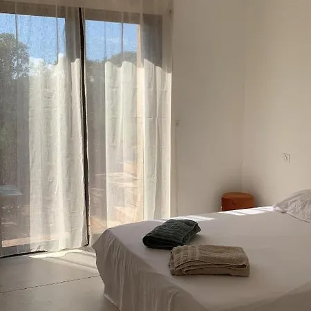 Maison Neuve Avec Piscine Corbara